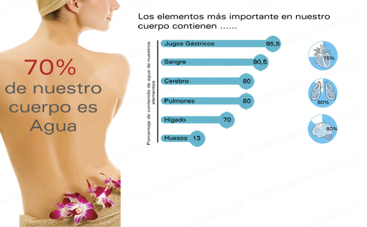 Agua Cuerpo Humano