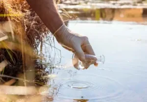 Gestión de la Calidad del agua