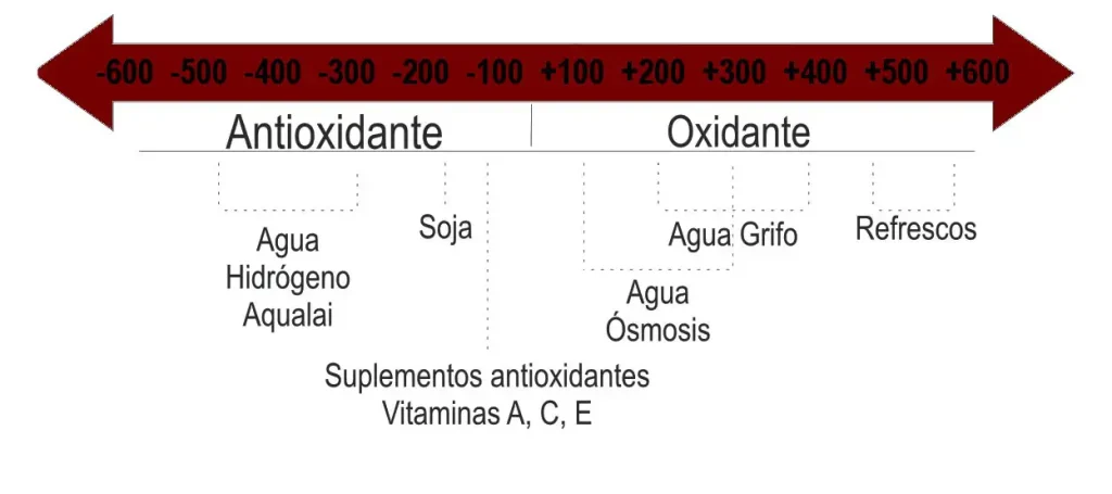 Suplementos Antioxidantes
