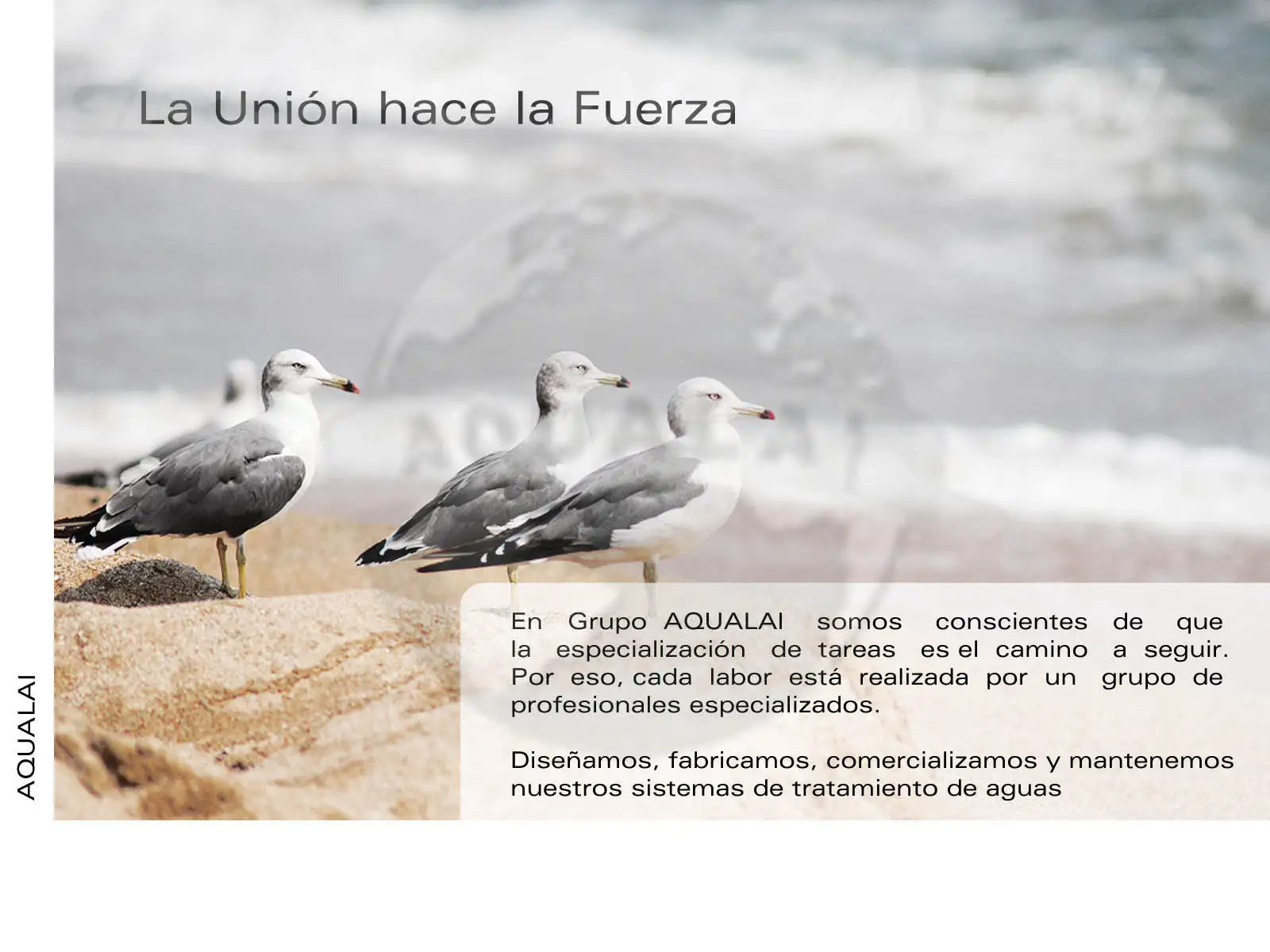 Dosier Empresa Grupo Aqualai